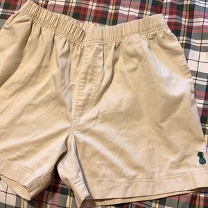 Men’s medium 4” Chubbies shorts